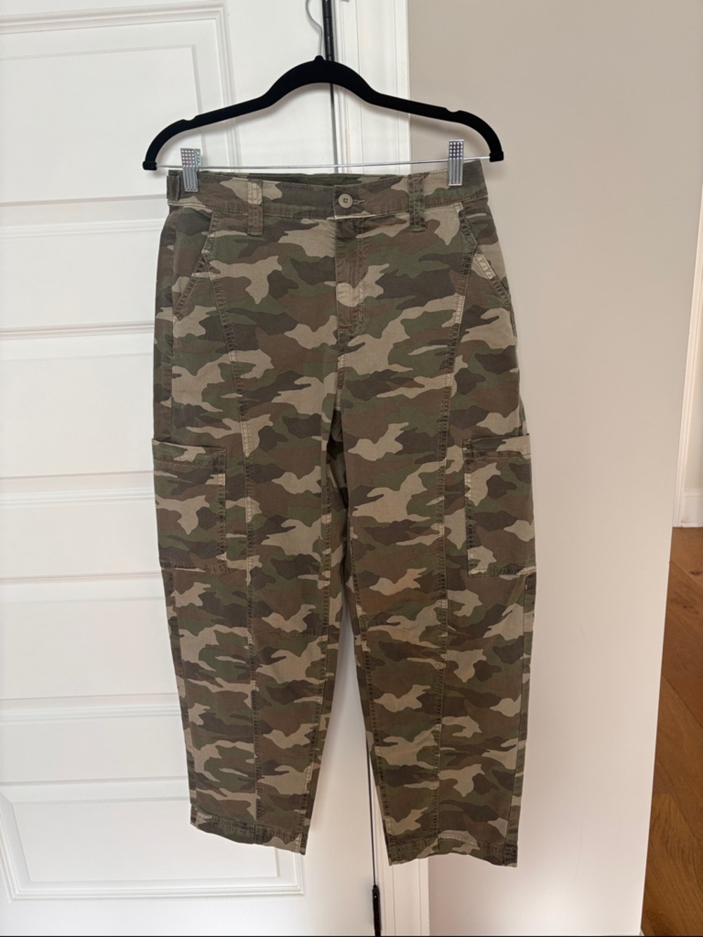 American Eagle Barrel Cargo Pants